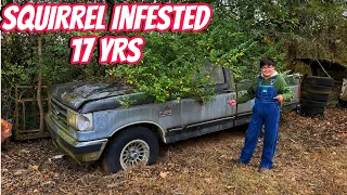 Short Bed F150 Parked 17 years! Can We Save It?