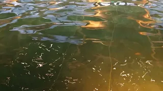 Pool Sparkling Water Footage