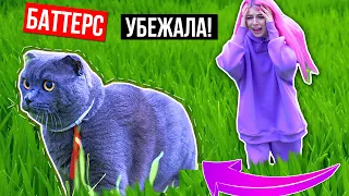 ВЫГУЛИВАЕМ КОШКУ | КОШКА НА УЛИЦЕ | БАТТЕРС УБЕЖАЛА !