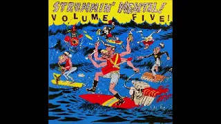 Various ‎– Strummin' Mental! Vol 5 : Raw, Rare And Rockin' Instrumentals 1958-1965 Surf Music