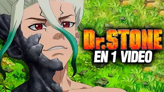 🔴 Todo Dr Stone al Detalle en 1 VIDEO | Resumen Completo T1,2,3