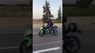 zx10r / z900 / tmax