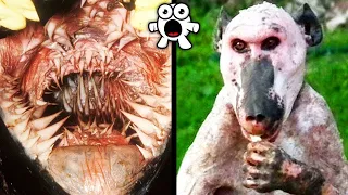 Terrifying Animals You Wouldn’t Want to Encounter