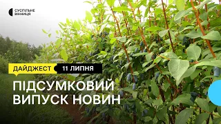 Створення комплексу пам’яті у Вінниці, загибель риби та історія медикині