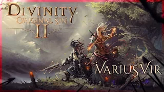 Местный Кракен... | Прохождение Divinity Original Sin 2 #2 | PC 60FPS #DOS2VV