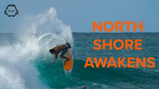 WAVES IN MAY?!? NORTH SHORE AWAKENS