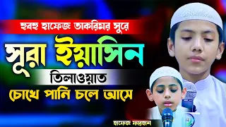 ছোট্ট ক্বারীর বিস্ময়কর কন্ঠে সূরা ইয়াসিন سورة يس ‎Surah Yaseen Yasin হাফেজ সালেহ আহমদ তাকরিমের সুরে