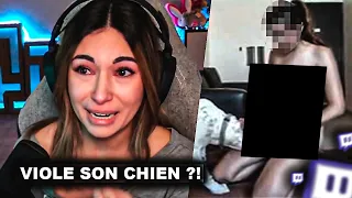 Cette INFLUENCEUSE d'1M d'abos Vi𝓞le son Chien sur Twitch (Alinity)