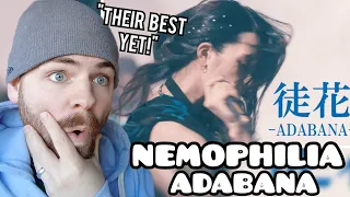 NEMOPHILA 徒花 "ADABANA" | Reaction