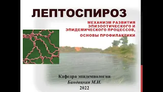 Лептоспирозы: механизм развития эпизоотического и эпидемического процессов, основы профилактики.