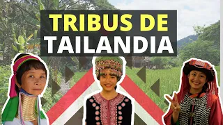 🐘 Las 6 desconocidas ETNIAS TRIBALES del norte de TAILANDIA