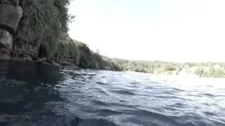 Неожиданная встреча с акулой после прыжка со скалы в воду