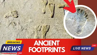 Ancient Footprints found in New Mexico | Oldest human footprints in North America 23,000 years old
