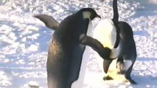 Penguin Funny 90's Commercial