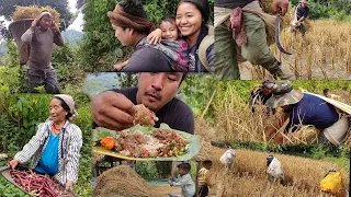 harvesting rice full proces || happiest season for farmers || nagaland farmers || || kents vlog.