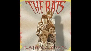 The Rats - The Fall and Rise 1964-69 (Full Album 2004) Compil. Hull UK