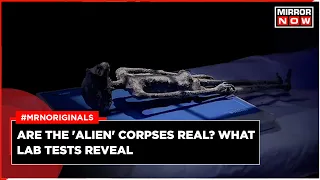 Alien Mexico Explained | Mexican Doctors Conduct Tests On 'Alien' Corpses, Eggs Found | World News