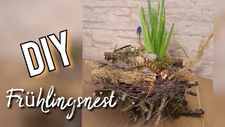 DIY Frühlingsnest basteln aus Zweigen, Spring Decor, Osterdeko selber machen, Nest für Außen