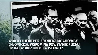 Pomoc Polaków dla więźniów Auschwitz