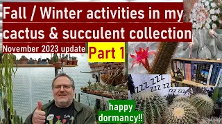 HAPPY CACTUS DORMANCY! My fall/winter activities PART 1 in my cactus & succulent collection #cacti