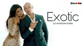 Exotic | Priyanka Chopra Ft Pitbull | DJ Shadow Dubai Remix