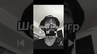 Шома тигр от asanrap🖤