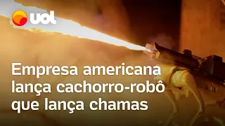 Empresa americana lança cachorro-robô que lança chamas; veja vídeo