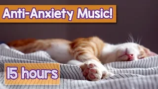 Calming Music for Cats with Anxiety! Deep Soothing Music for Anxious, ill and Stressed Cats! (2018)