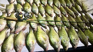 2 HOURS of CRAPPIE Catch and Cooks! -- Creeks, Spillways, Lakes and  MORE! *BIG SLABS*