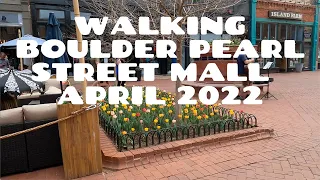 Walking Boulder Pearl Street Mall. . . Tulips! April 22, 2022. Nature sounds, 4K