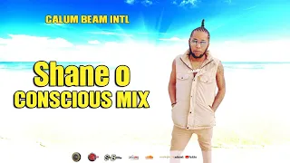 Shane O Mix 2023: Shane o Conscious & Positive Songs (Dancehall Mix 2023)