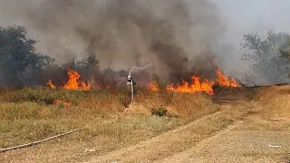«Мы же предупреждали!»: в Волгограде обитатели цыганского поселка подожгли лесополосу