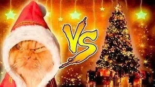 Кошки VS Новогодние елки!  Cats vs Christmas Trees  Лучшие новогодние приколы 2018 года!!