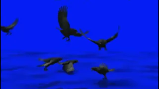 FX Guru Bird Frenzy On Blue Screen