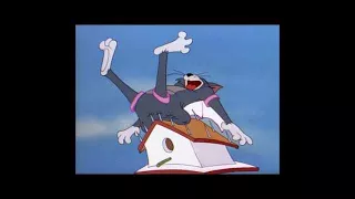 Tom and Jerry 63 Episode The Flying Cat 1952 Capitulo Invertido