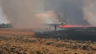 У Мелітопольському районі горіли поля пшениці