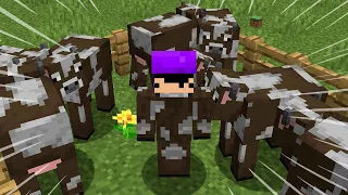 Tentando encontrar meu amigo disfarçado de vários mobs no minecraft