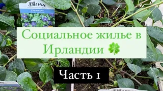 Социальное жилье в Ирландии / подготовка , и как это все происходит у меня🍀