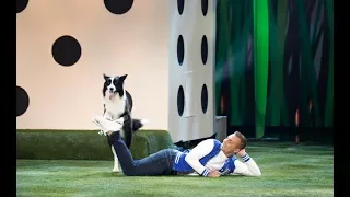 Lukas and Falco - Dog Act - America's Got Talent 2019 Quarterfinals 3