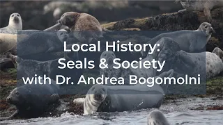 Local History: Seals and Society