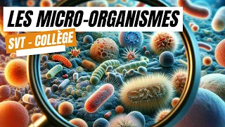 Les micro-organismes - SVT Collège