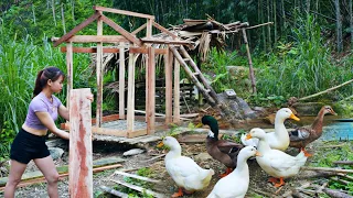 building a house for ducklings p1 - life in the forest - 200 days of bushwalking