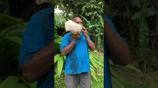 Conch Shell Music and Message in Fiji