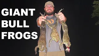 Giant Texas BULLFROGS (Catch Clean Cook)