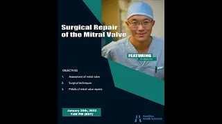 Surgical repair of the mitral valve