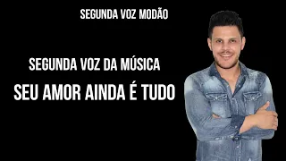 SEGUNDA VOZ DA MÚSICA -SEU AMOR AINDA É TUDO (João Mineiro e Mariano)