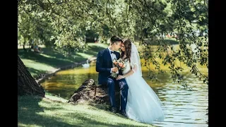 Wedding klip / красивый свадебный клип / аэросъемка