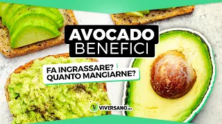 AVOCADO: benefici, consigli nutrizionali, ricette veloci e idee in cucina || ViverSano.net