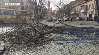 Одна погибшая и 400 упавших деревьев // Ураган Юля в Одессе