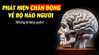 Tôi đã hối hận khi không biết điều này sớm hơn!